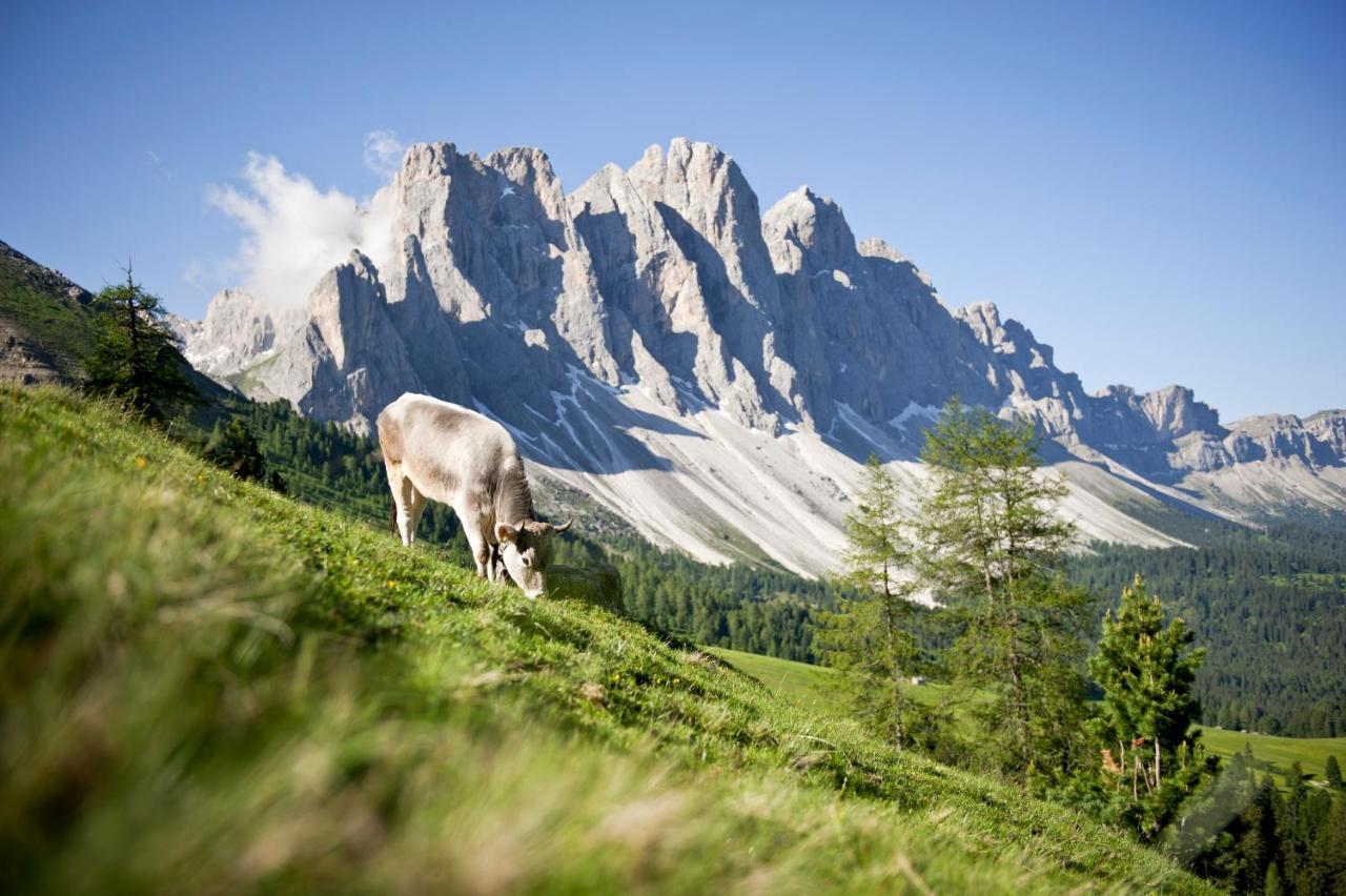 Raschoetzhof Funes  Exteriör bild